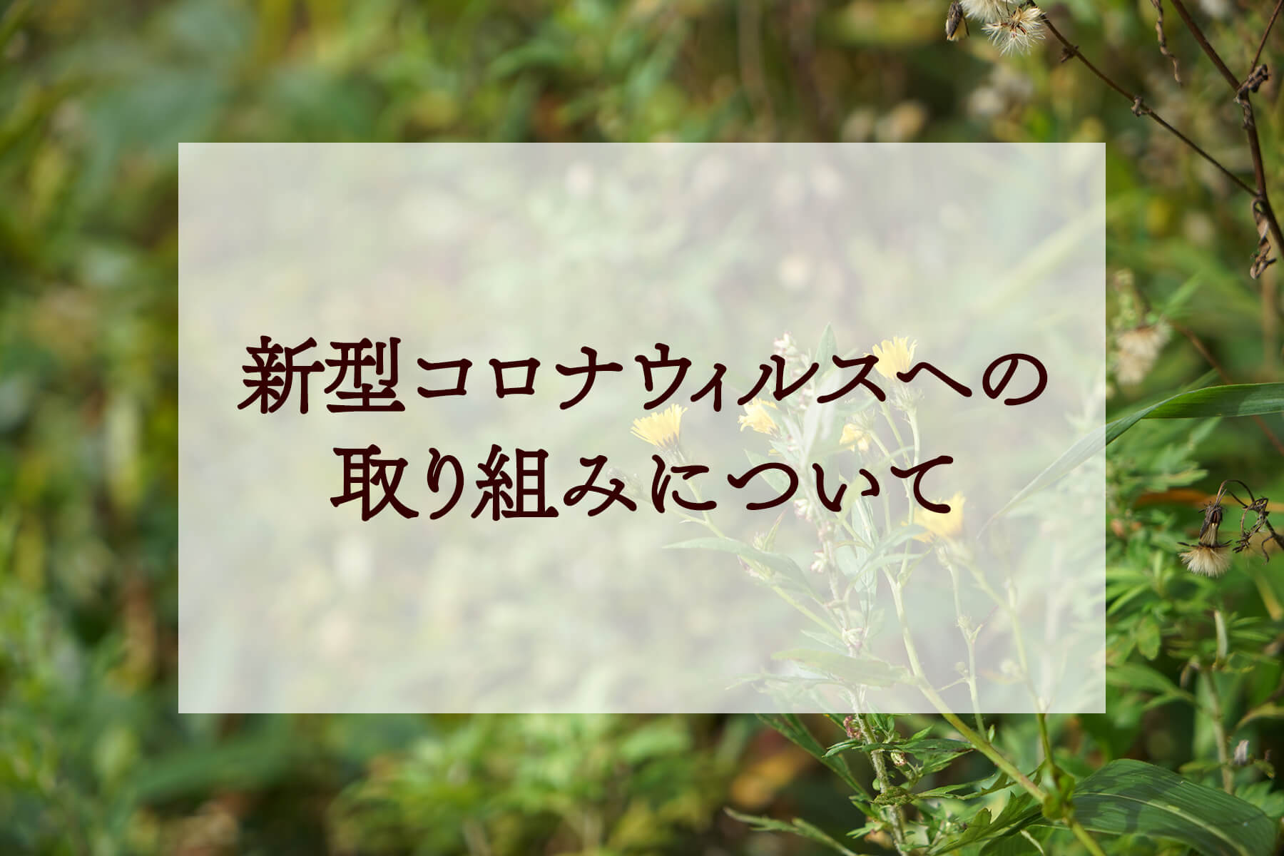 新型コロナウイルスへの取り組みについて